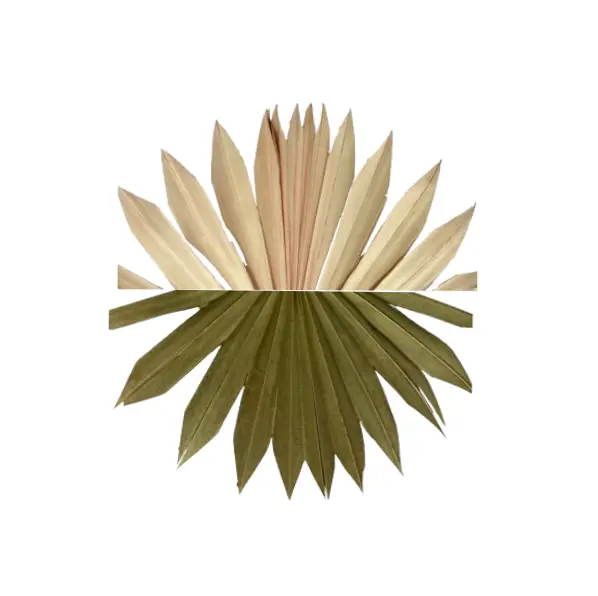 Palm Sun Leaf