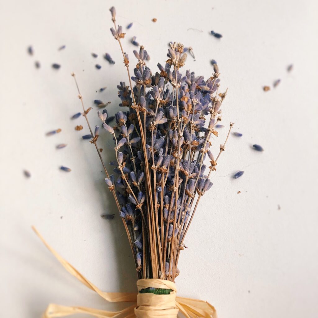 Florarix - Dried flowers category